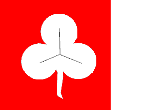 [Dearsum village flag]