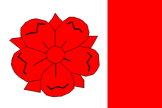 [Raerd village flag]