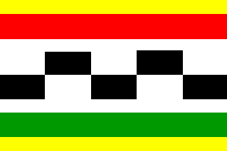 [Veenwouden villageflag]