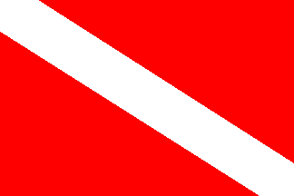 [Linschoten flag]