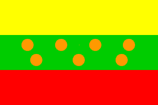 ['s-Gravendeel flag corrected]