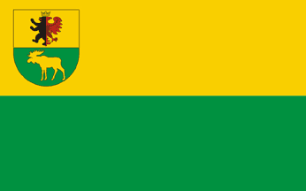 [2008 proposed flag]