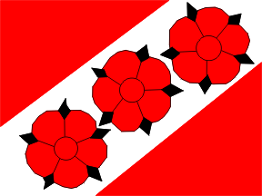 [Brzeg Dolny district flag]