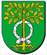 [Dabrowa coat of arms]