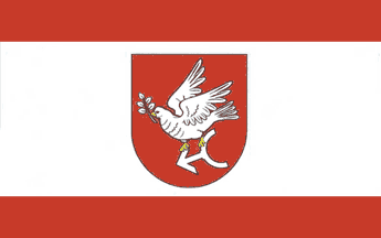 [Golub-Dobrzyn county flag]