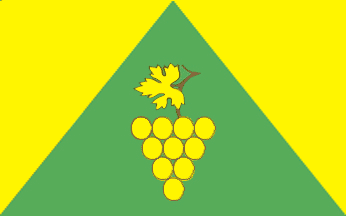 [Zielona Góra new ceremonial flag]