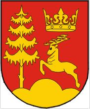[Budzów coat of arms]