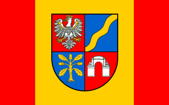 [Dąbrowa county first flag]