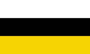 [Tarnowskie Gory new flag]
