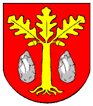 [Bodzechów coat of arms]