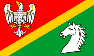 [Konin county flag]