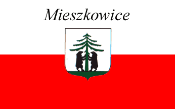 [Mieszkowice city flag]