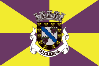 Felgueiras municipality