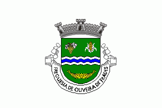 [Oliveira de Frades commune (until 2013)]
