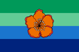 [Anguar flag]