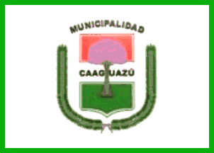 Caaguazú District flag