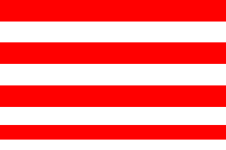 Doctor Manuel Frutos District flag