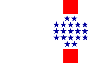 Central Department flag