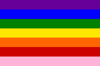 Gay Pride Rainbow Flag