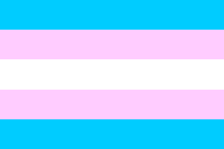 [Monica Helms' transgender flag]