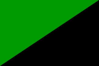 Eco-anarchist flag