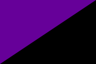 black/purple flag of anarchism