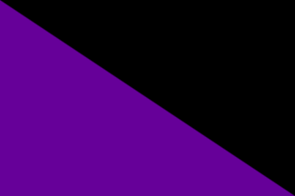 black/purple flag of anarchism