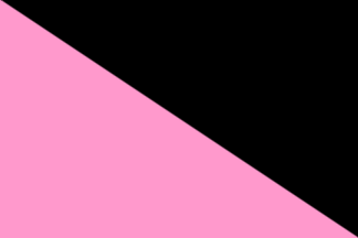 Anarcha-Queer (Queer Anarchism)