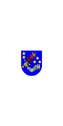 [flag of Székelyudvarhely, Harghita County]