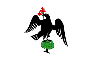[Flag of Wallachia]
