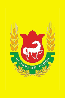 Flag of Tselinny District