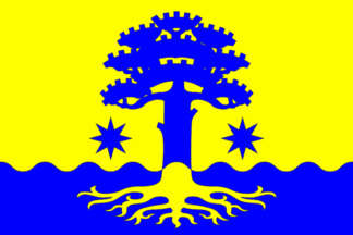 Tolvuyskoe flag