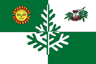Flag of Syktyvkar city