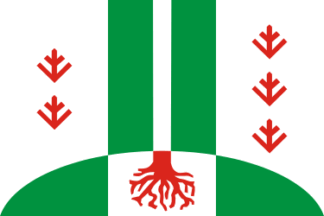 Flag of Andreevskoe