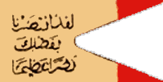 N. C. Emirate Flag