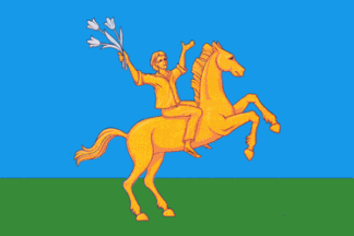 Flag of Lyambirsky District