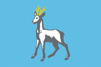 Prev. flag of Samara Region