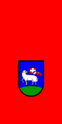 [Flag of Dravograd]