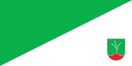 [Flag of Bilje]
