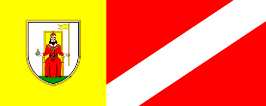 [Flag of Novo mesto]