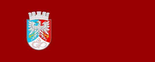 [Flag of Postojna]