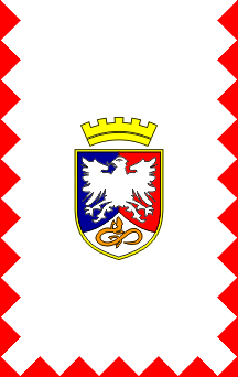 [Former vertical flag of Postojna]