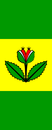 [Vertical flag of Zetale]