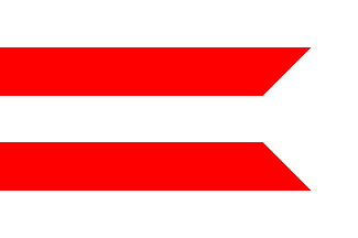 Dolný Kubín flag