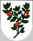 [Brusnica coat of arms]