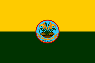 [Former Flag (Ang Thong Province, Thailand)]