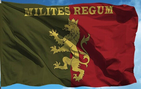 Drapeau Militaire Ukraine - 24e Brigade Mécanisée - 90x60 Cm - Nylon Résistant - Neuf Avec Étiquettes