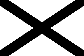 The Southern Nationalist Flag (U.S.)
