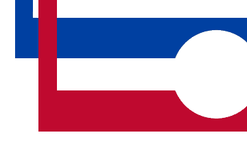 [City flag]