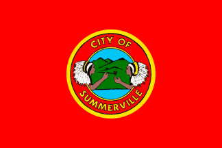 [Flag of Summerville, Georgia]